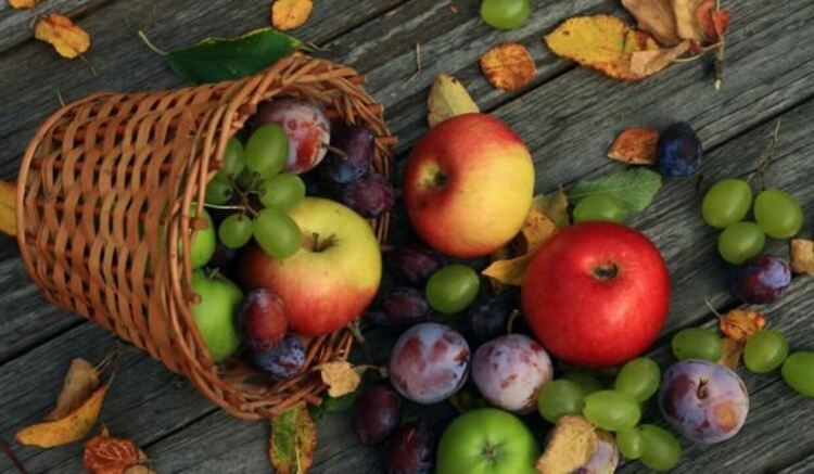 Разкъсана облачност до обед, следобед –дъжд