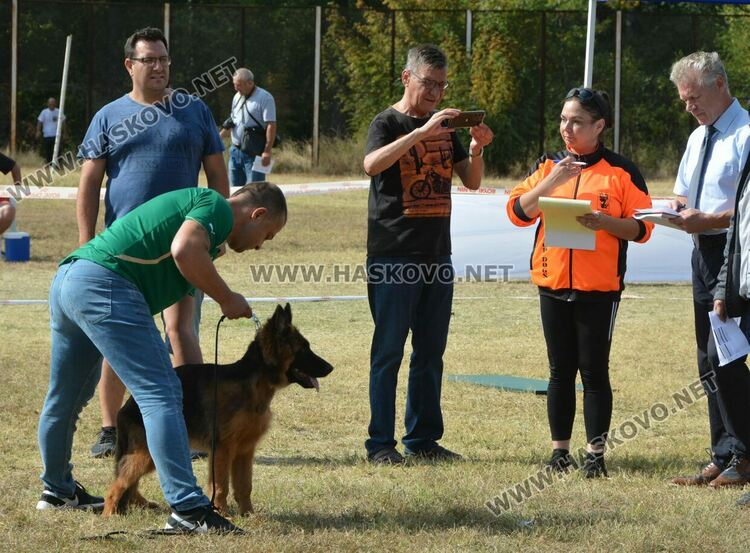 101 немски овчарки от Сърбия, България и Гърция гастролираха в Хасково
