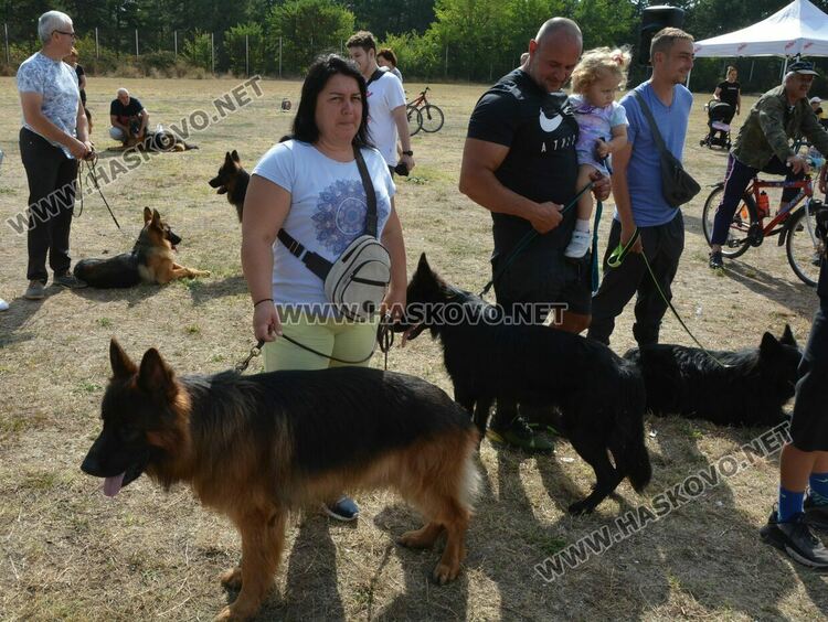 101 немски овчарки от Сърбия, България и Гърция гастролираха в Хасково