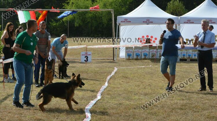 101 немски овчарки от Сърбия, България и Гърция гастролираха в Хасково