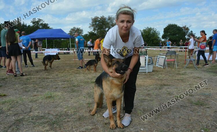 101 немски овчарки от Сърбия, България и Гърция гастролираха в Хасково