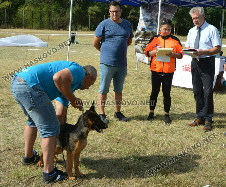 101 немски овчарки от Сърбия, България и Гърция гастролираха в Хасково