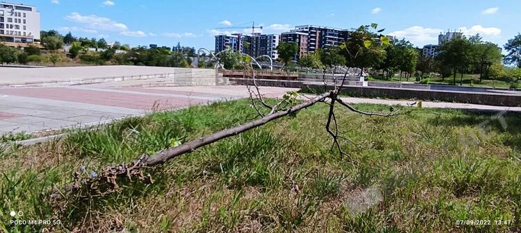 Вандали прекършват дръвчета напук на опитите за озеленяване в парковете на Кърджали