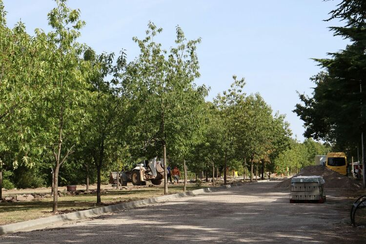 Започна ремонтът на настилките на пешеходната алея в „Кенана“