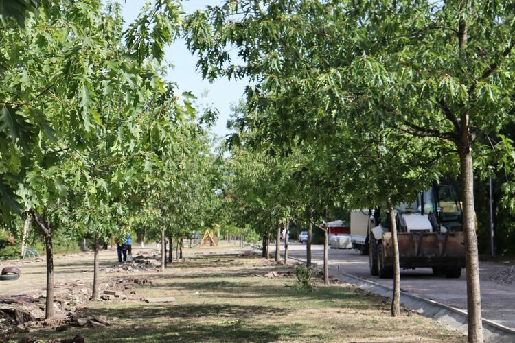 Започна ремонтът на настилките на пешеходната алея в „Кенана“