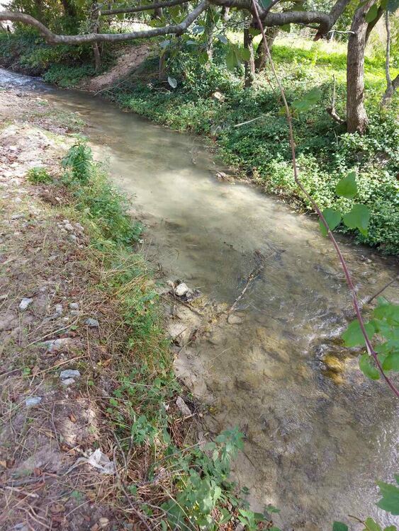 Два сигнала за замърсяване на реки в района на Рудозем провериха екоексперти и полиция 