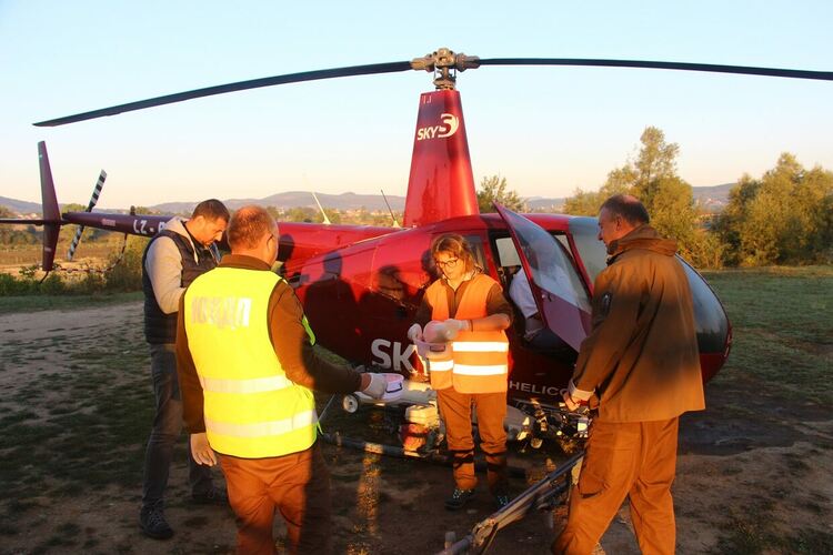 Напръскаха от хеликоптер срещу борова процесионка горски масиви