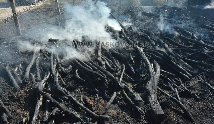 Пожар изпепели дворовете на две вили край Хасково, спасиха животни