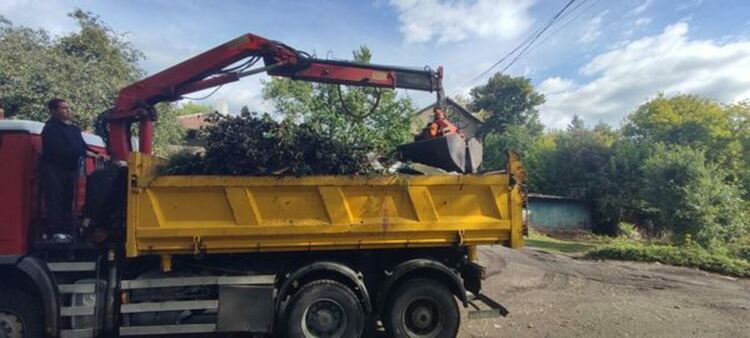 " Да изчистим България заедно“