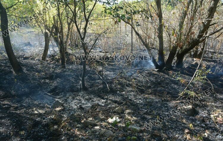 Пожар изпепели дворовете на две вили край Хасково, спасиха животни