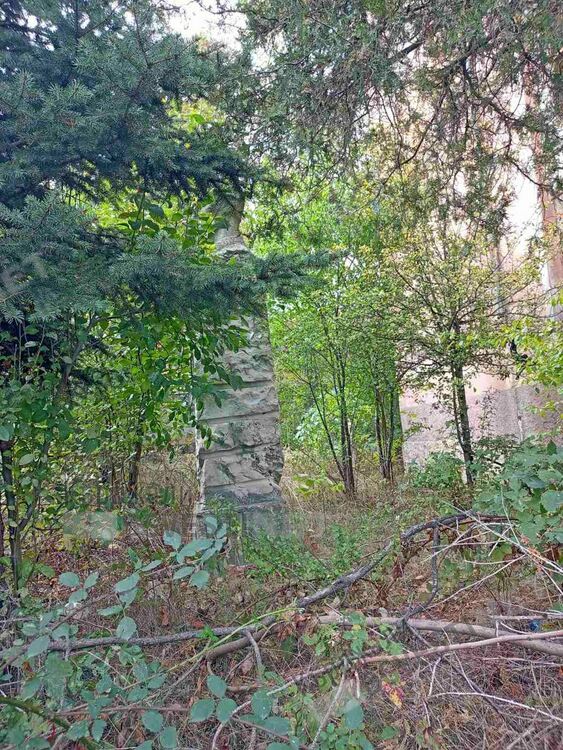 Деца се катерят на пропадналия покрив на училище”Н.Й.Вапцаров” за селфи,  хора от „Веселчане” искат възстановяването му