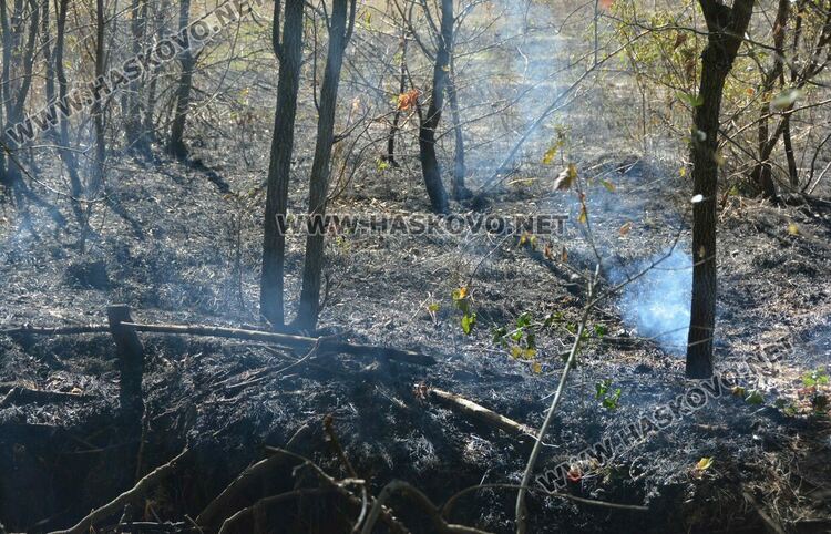 Пожар изпепели дворовете на две вили край Хасково, спасиха животни