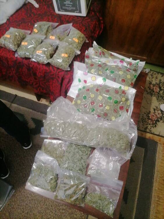 Задържаха баща и син за отглеждане на канабис