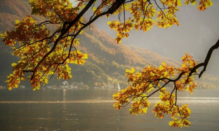 Слънчево до обяд време във вторник, следобед се заоблачава