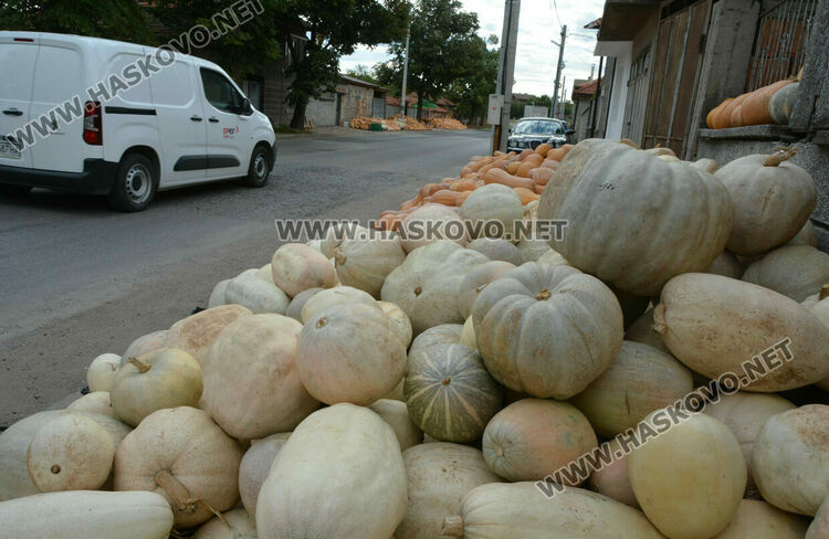 По 80 ст/кг са тиквите в Горски извор, в хипермаркета – тройно по-скъпи