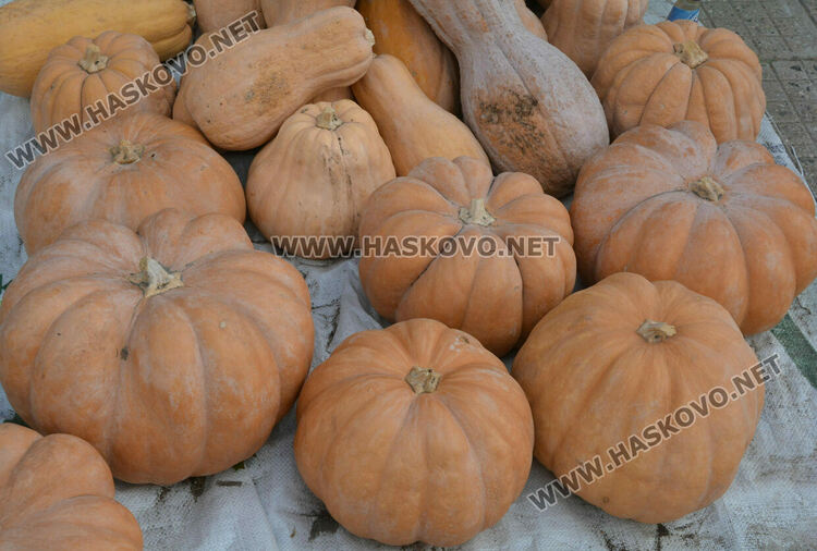 По 80 ст/кг са тиквите в Горски извор, в хипермаркета – тройно по-скъпи