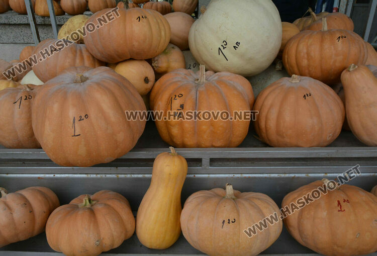 По 80 ст/кг са тиквите в Горски извор, в хипермаркета – тройно по-скъпи