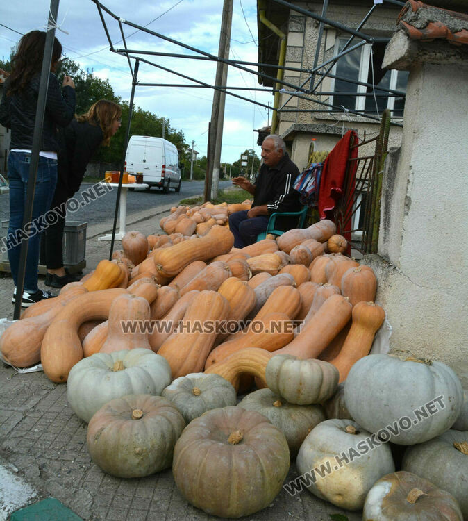По 80 ст/кг са тиквите в Горски извор, в хипермаркета – тройно по-скъпи
