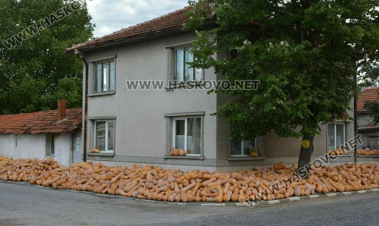 По 80 ст/кг са тиквите в Горски извор, в хипермаркета – тройно по-скъпи