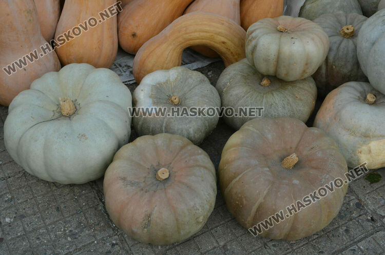 По 80 ст/кг са тиквите в Горски извор, в хипермаркета – тройно по-скъпи