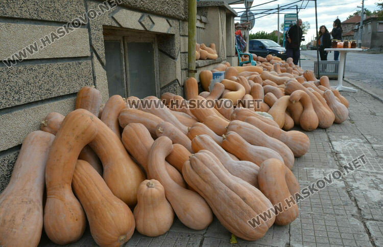 По 80 ст/кг са тиквите в Горски извор, в хипермаркета – тройно по-скъпи