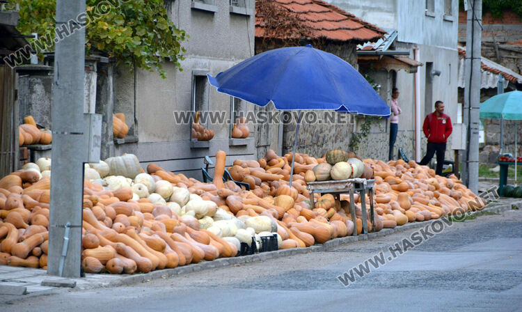 По 80 ст/кг са тиквите в Горски извор, в хипермаркета – тройно по-скъпи