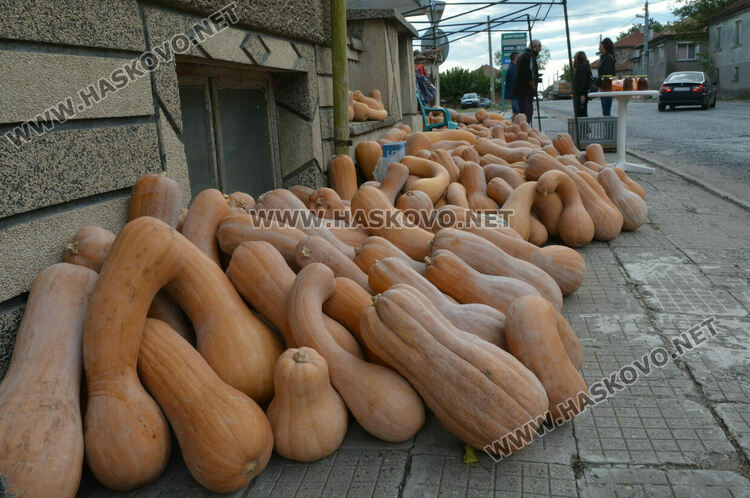 По 80 ст/кг са тиквите в Горски извор, в хипермаркета – тройно по-скъпи