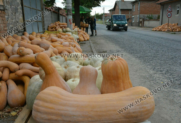 По 80 ст/кг са тиквите в Горски извор, в хипермаркета – тройно по-скъпи