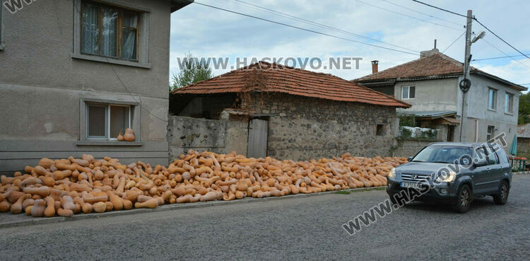 По 80 ст/кг са тиквите в Горски извор, в хипермаркета – тройно по-скъпи