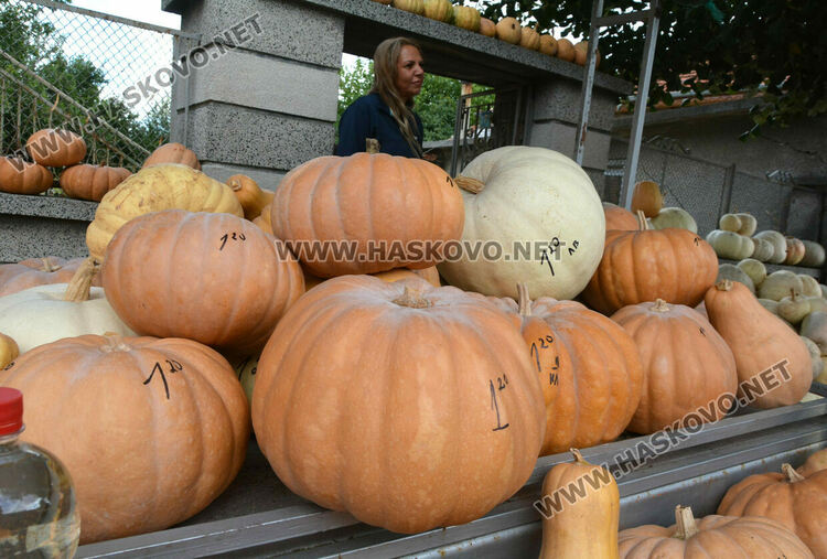 По 80 ст/кг са тиквите в Горски извор, в хипермаркета – тройно по-скъпи