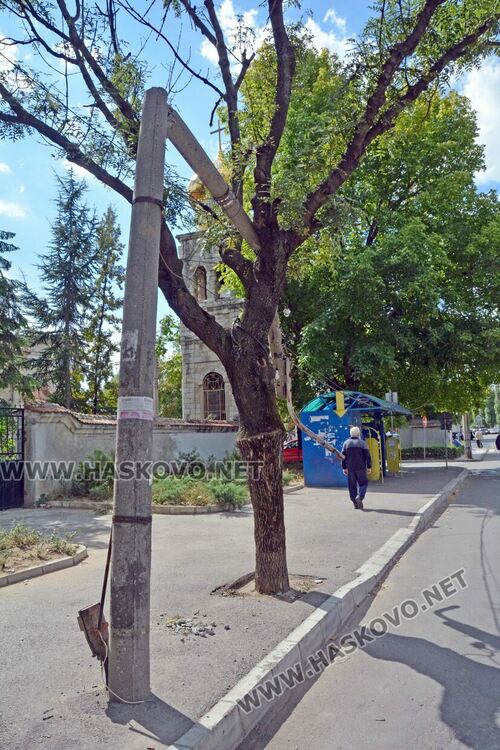 Бетонен стълб се пречупи и падна върху дърво край пазара в Хасково