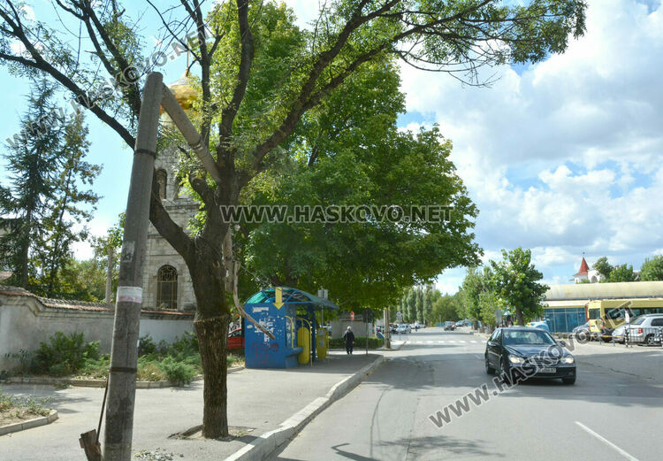 Бетонен стълб се пречупи и падна върху дърво край пазара в Хасково