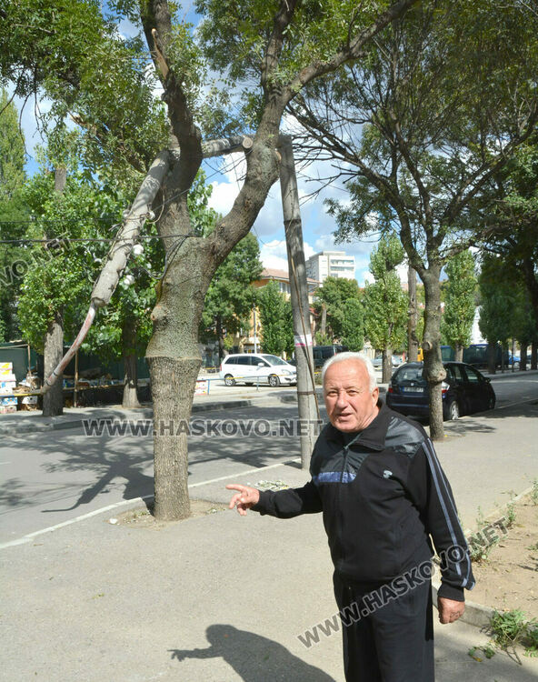 Бетонен стълб се пречупи и падна върху дърво край пазара в Хасково