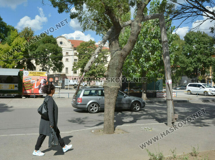 Бетонен стълб се пречупи и падна върху дърво край пазара в Хасково