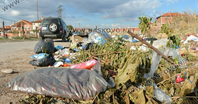 Ново нерегламентирано сметище се появи в „Република“