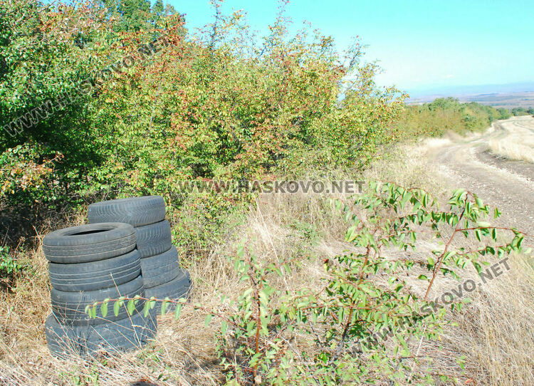 Ученици чистиха боклуци по екопътека „Цар Иван Асен II“ за Световния ден на туризма 