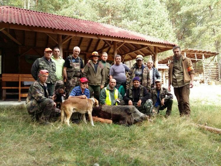 Откриват ловния сезон, започват проверки на дружинките от полиция и горски 