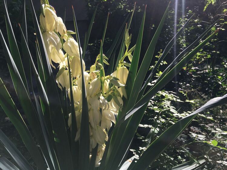 Температурите падат, ветровито и дъждовно в неделя