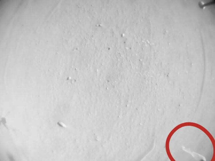 Странен обект на марсианския хеликоптер Ingenuity по време на полет