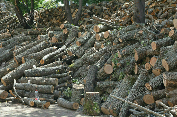 Снимката е илюстративна