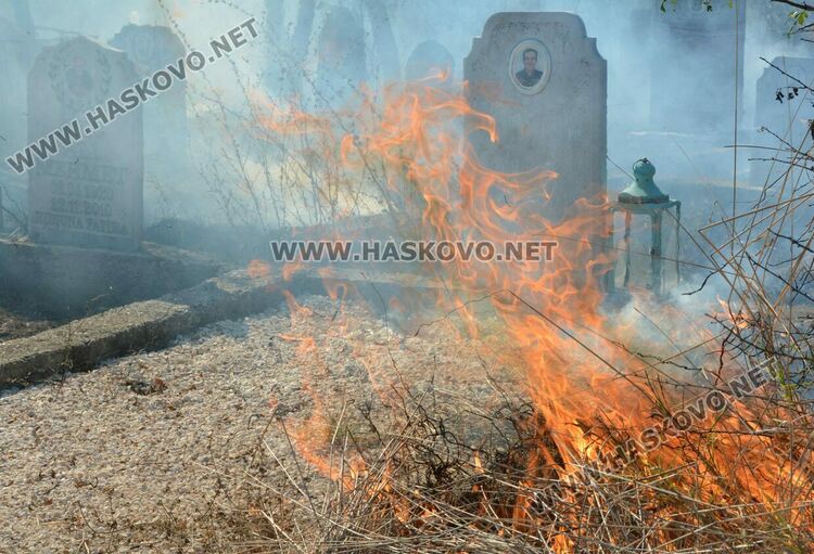 Пожар избухна в гробищен парк и тръгна към Войводово