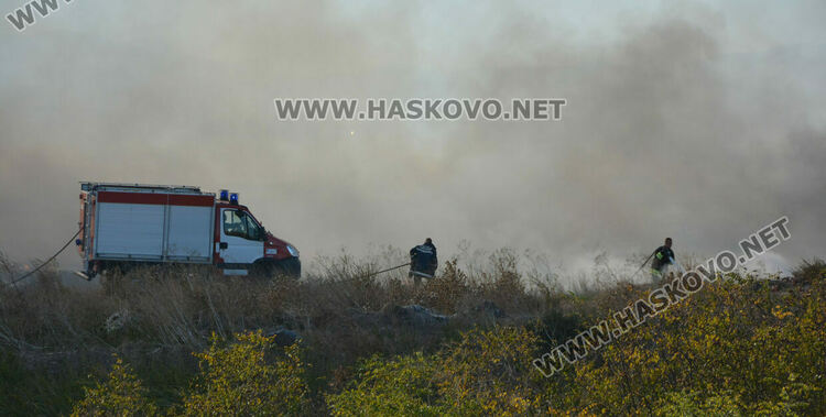 Пожар избухна в гробищен парк и тръгна към Войводово