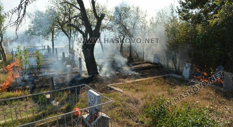 Пожар избухна в гробищен парк и тръгна към Войводово