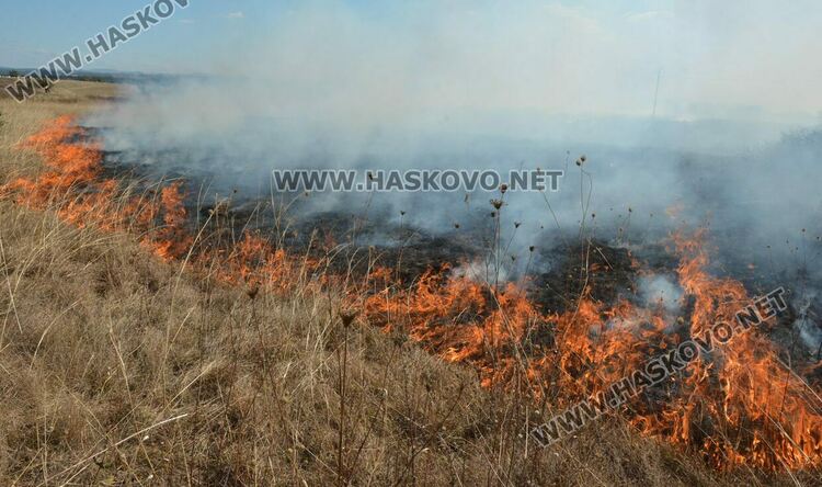 Пожар избухна в гробищен парк и тръгна към Войводово