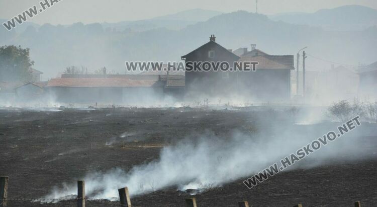 Пожар избухна в гробищен парк и тръгна към Войводово