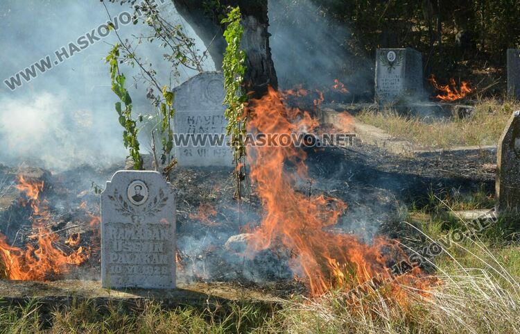 Пожар избухна в гробищен парк и тръгна към Войводово