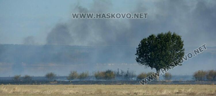 Пожар избухна в гробищен парк и тръгна към Войводово