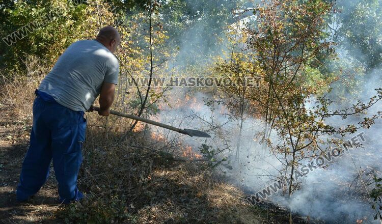 Пожар избухна в гробищен парк и тръгна към Войводово