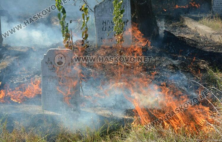 Пожар избухна в гробищен парк и тръгна към Войводово