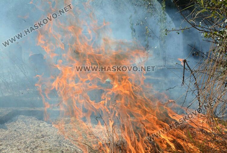 Пожар избухна в гробищен парк и тръгна към Войводово